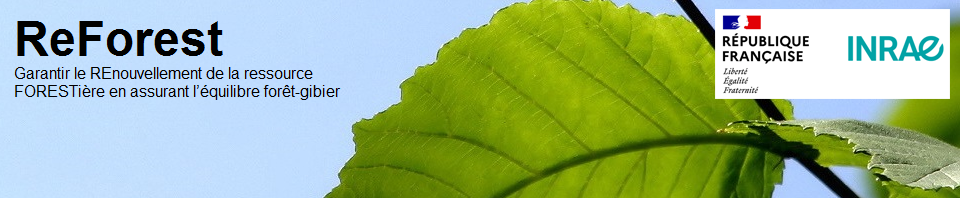 cropped-Image_tete_feuille_ciel_avec_texte