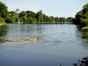 Vue d’ensemble d’une frayère potentielle de l’esturgeon européen à Pessac-sur-Dordogne en août 2012