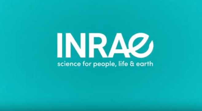 [:en]INRA and Irstea becomed a single research institute: INRAE[:]