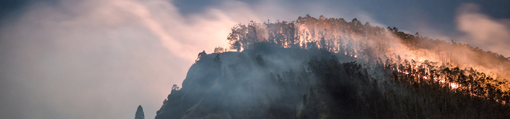 [:en]Workshop Adapting to a changing climate in wildfire management – 16–17 January 2020: OECD, Paris[:]