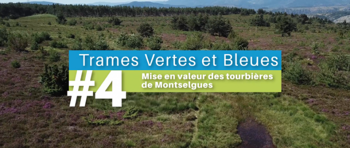 « La vie au cœur des territoires » – Épisode 4 : Les tourbières de Montselgues