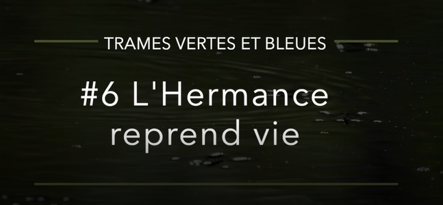 « La vie au cœur des territoires » – Épisode 6 : L’Hermance reprend vie