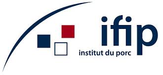 logo_ifip