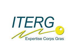 logo_iterg